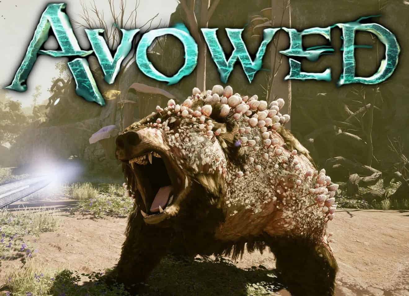 Avowed Премиум Издание Турция 4 Avowed премиум-издание Турция